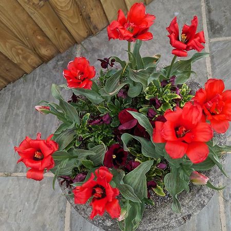 Rosegarth Bed And Breakfast Marton near Pickering Exterior foto